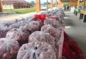 Dukung Kemajuan Pasar, UPTD Pasar Mariat Fokus Optimalisasi Pengelolaan