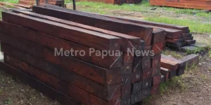 Penebangan Liar di Sorong Marak, Aparat Hukum Didesak Segera Bertindak