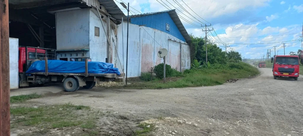 Skandal Kayu Gelap Diduga Hantui Sorong: Masyarakat Desak Polda Papua Barat Daya Turun Tangan