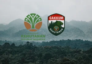 Aktivitas Truk Bermuatan Kayu Pacakan Lalu-Lalang di Sorong, Gakkum Pilih Diam?