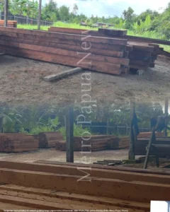 Kayu Terus Mengalir, Truk Kontainer Bermuatan Kayu Lalu-Lalang di Sorong, Aparat Hanya Diam?