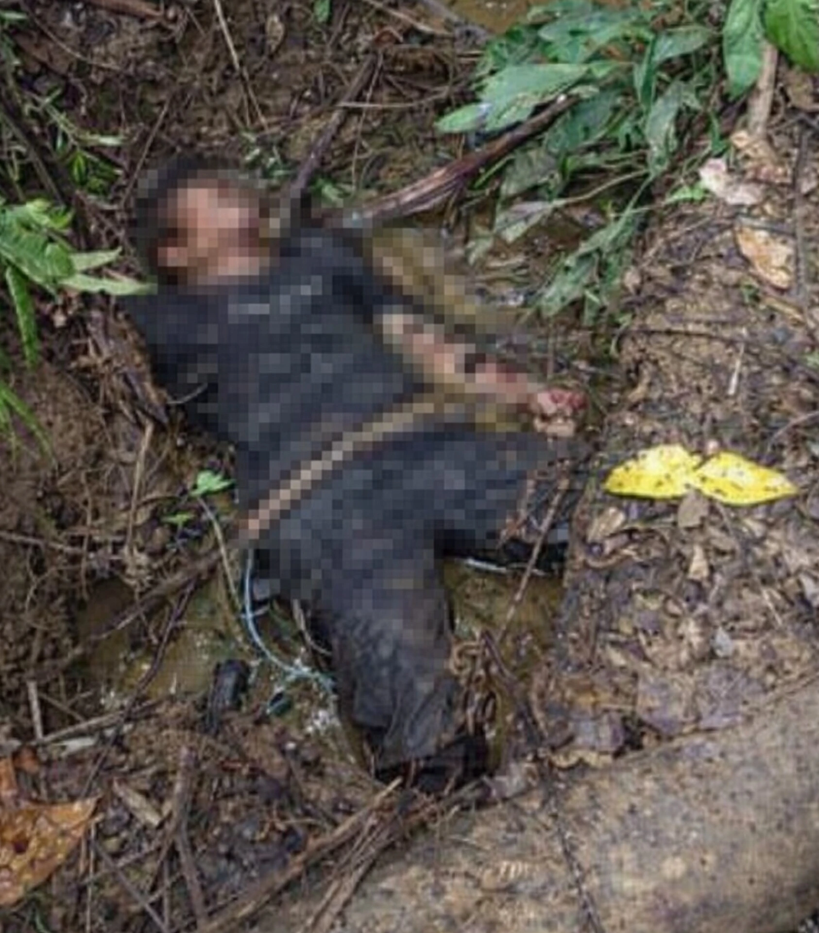 Pemuda Sorong Ditemukan Tewas di Tambrauw, Saksi Sempat Melihat Korban Dicegat OTK