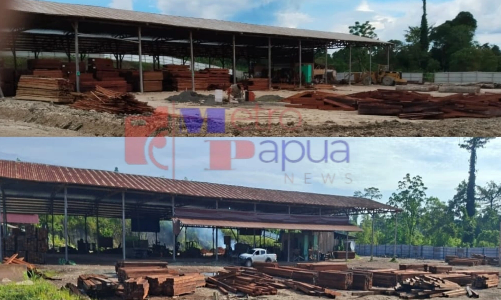 Kayu Pacakan Menggunung di Gudang Sayosa, Aktivitasnya Diam-diam Jadi Perbincangan