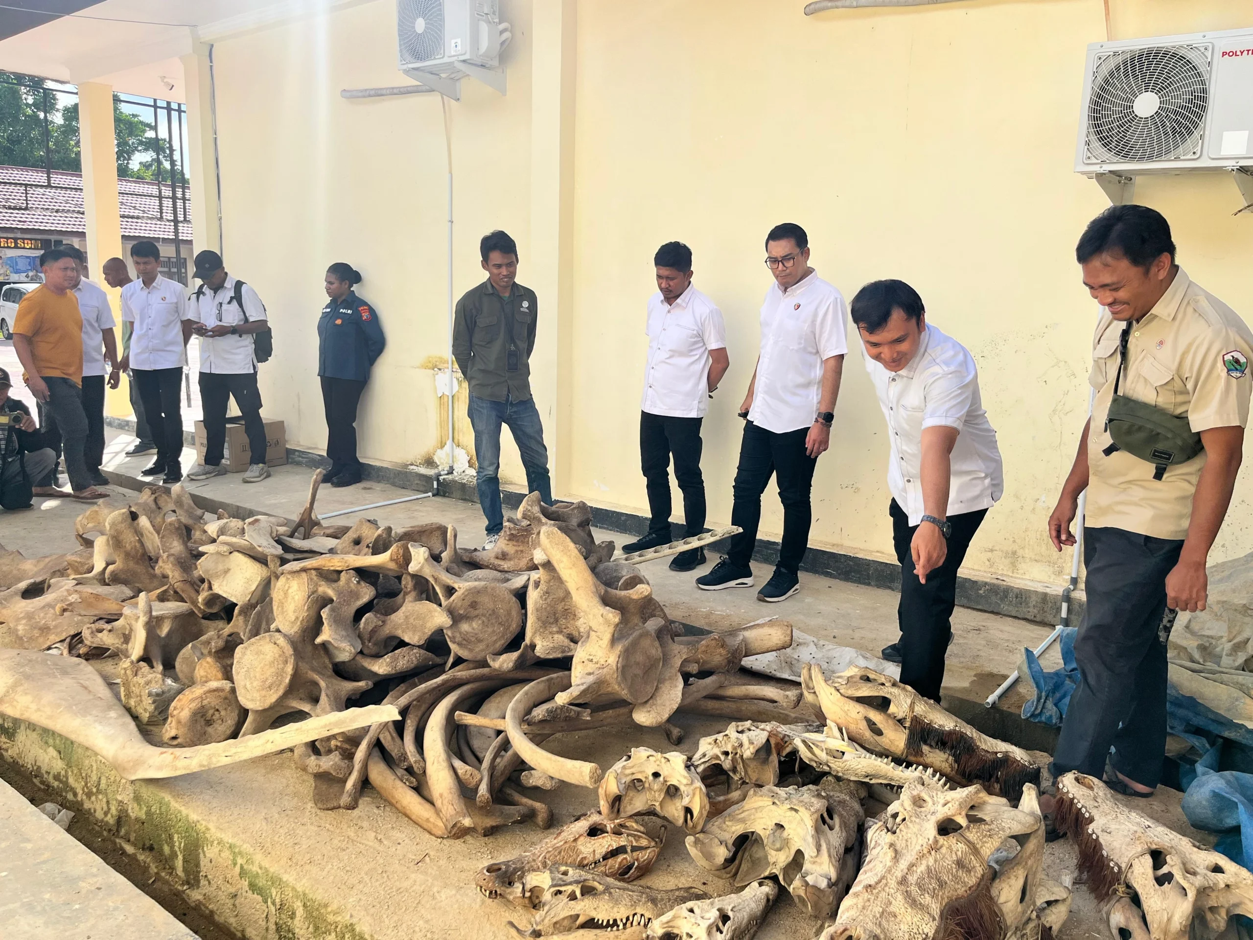 Polda Papua Barat Daya Amankan Puluhan Satwa Dilindungi, Satu Tersangka Ditetapkan