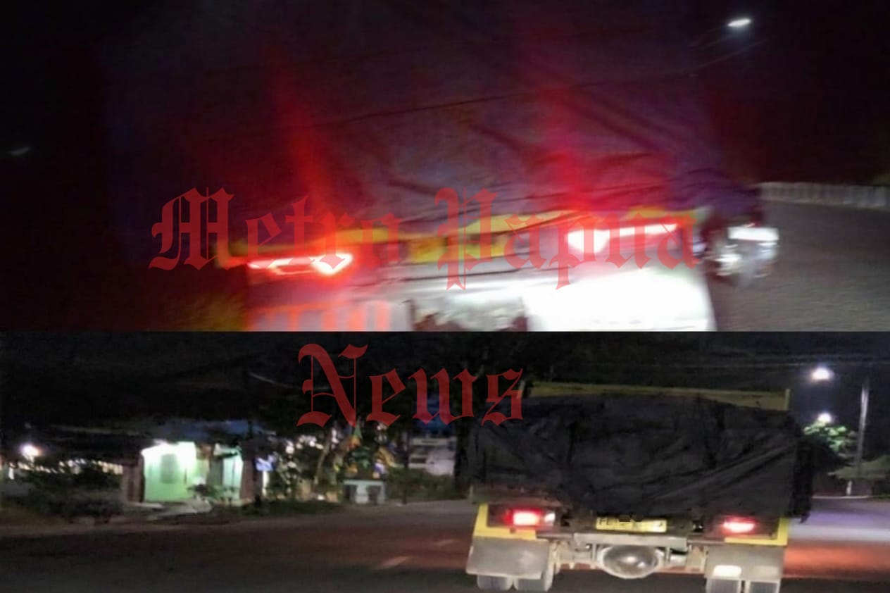 Hutan Papua Dijarah, Tokoh Pemuda OAP Desak Kapolda PBD Seret Oknum Polisi Pemilik Kayu Ilegal!