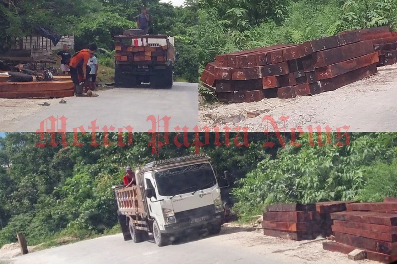 Kayu Merbau Terus Mengalir dari Kais, Warga Tantang Nyali Aparat Untuk Bertindak