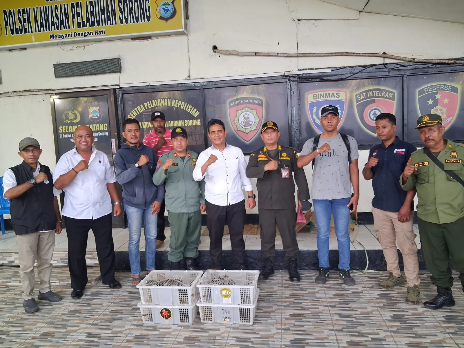 Ditpolairud Gagalkan Penyelundupan 21 Burung Nuri Hitam di Pelabuhan Sorong, Pelaku Diburu!